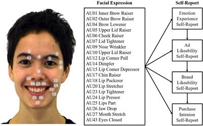 Automatic facial coding predicts self-report of emotion, advertisement and brand effects elicited by video commercials